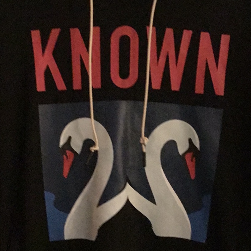 Well Known Studios Black Swan Hooded Sweatshirt - Picture 2 of 6